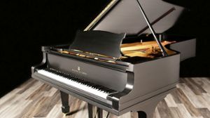 Steinway pianos for sale: 1925 Hamburg Steinway Grand D - $85,000