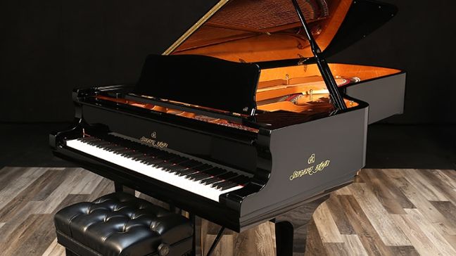 <span>2018</span> Kawai SK-EX