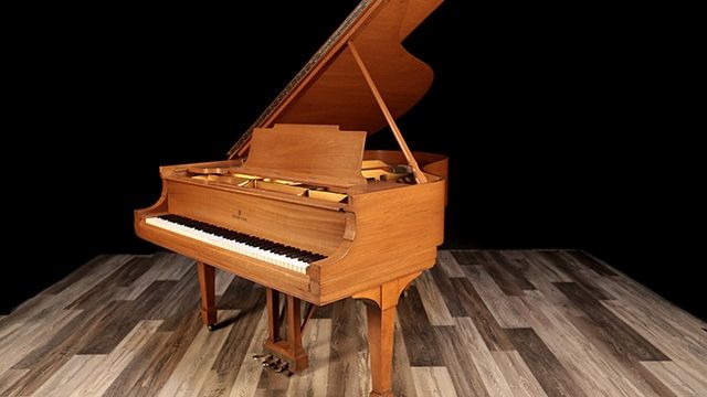 <span>1921</span> Steinway M