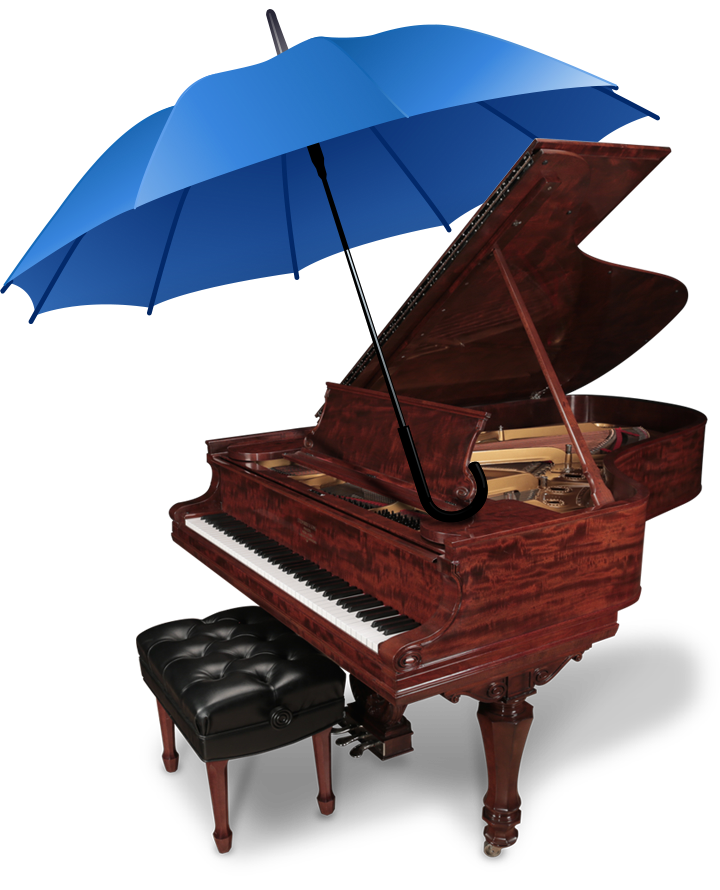 Our Moving Service is Fully Insured